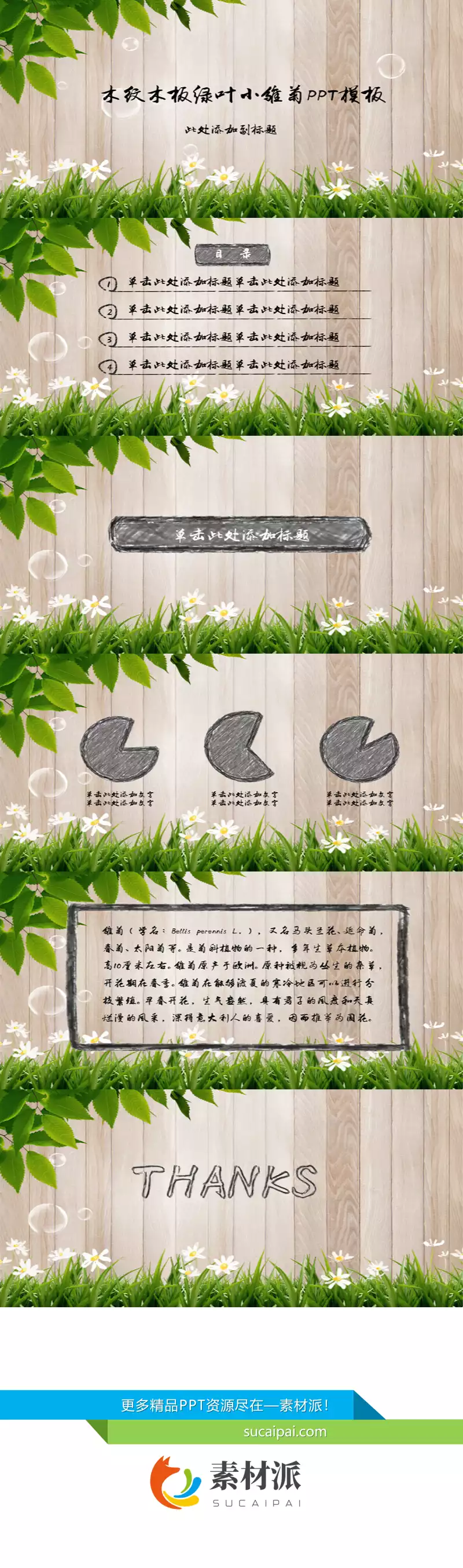 木纹木板绿叶小雏菊PPT模板 - 第一PPT1