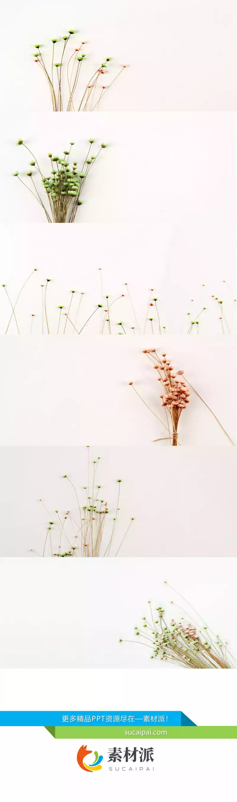 简约花束碎花PPT背景图片 - 第一PPT1