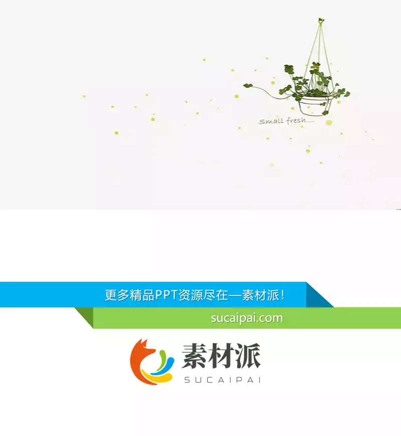 简约淡雅吊兰PPT背景图片 - 第一PPT1